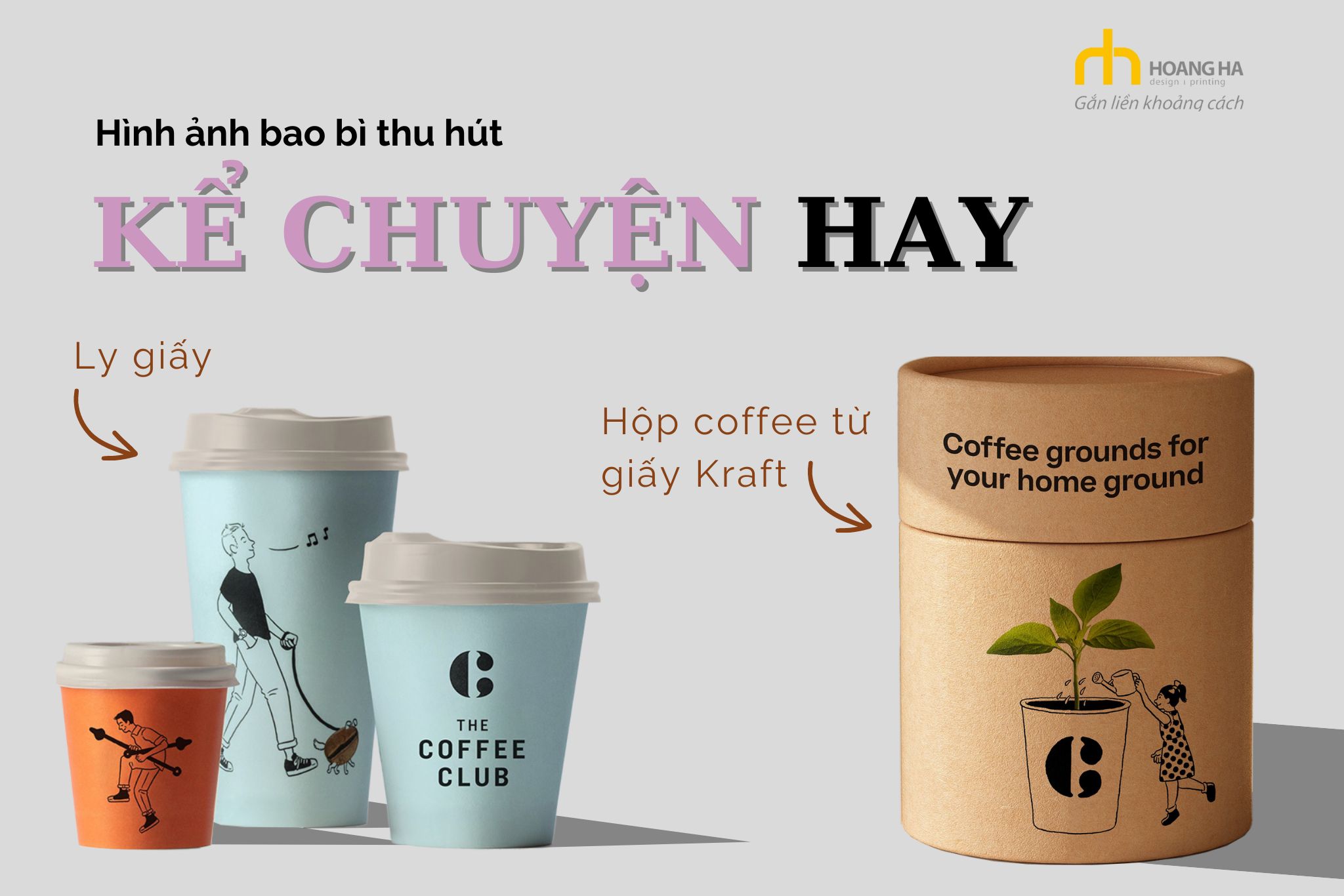 Ly giấy, Hộp giấy coffee từ chất liệu Kraft